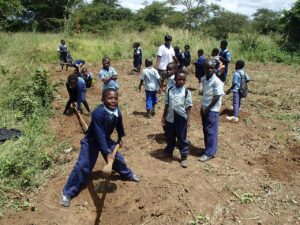 Africa Zambian kids