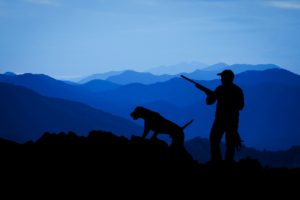 hunt hunting dog man rifle 